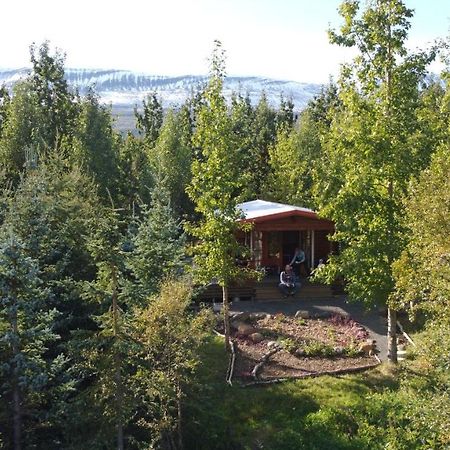 Bakkakot 1 - Cozy Cabins In The Woods 아퀴레이리 외부 사진