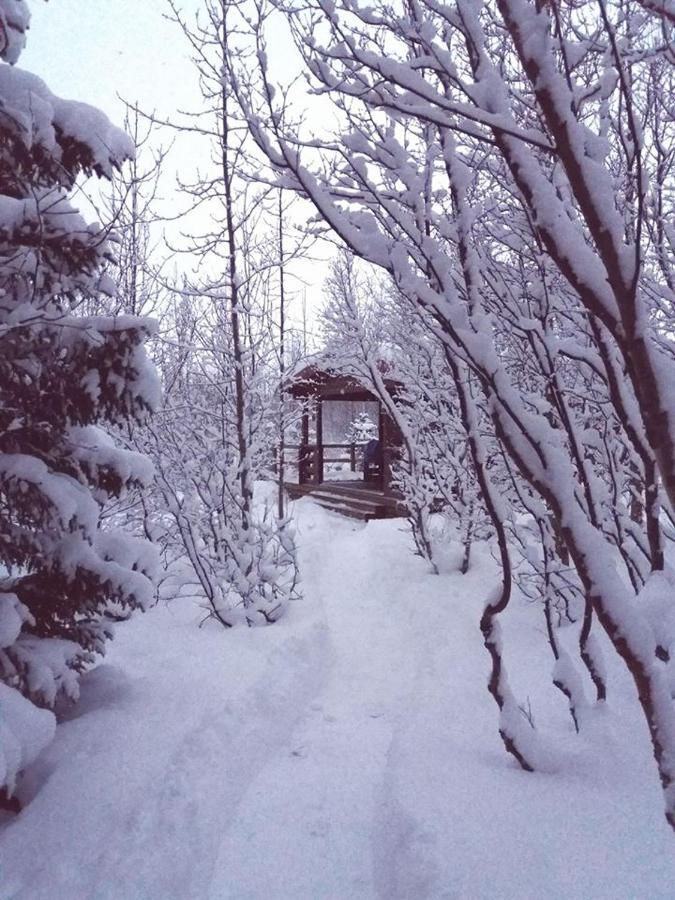Bakkakot 1 - Cozy Cabins In The Woods 아퀴레이리 외부 사진