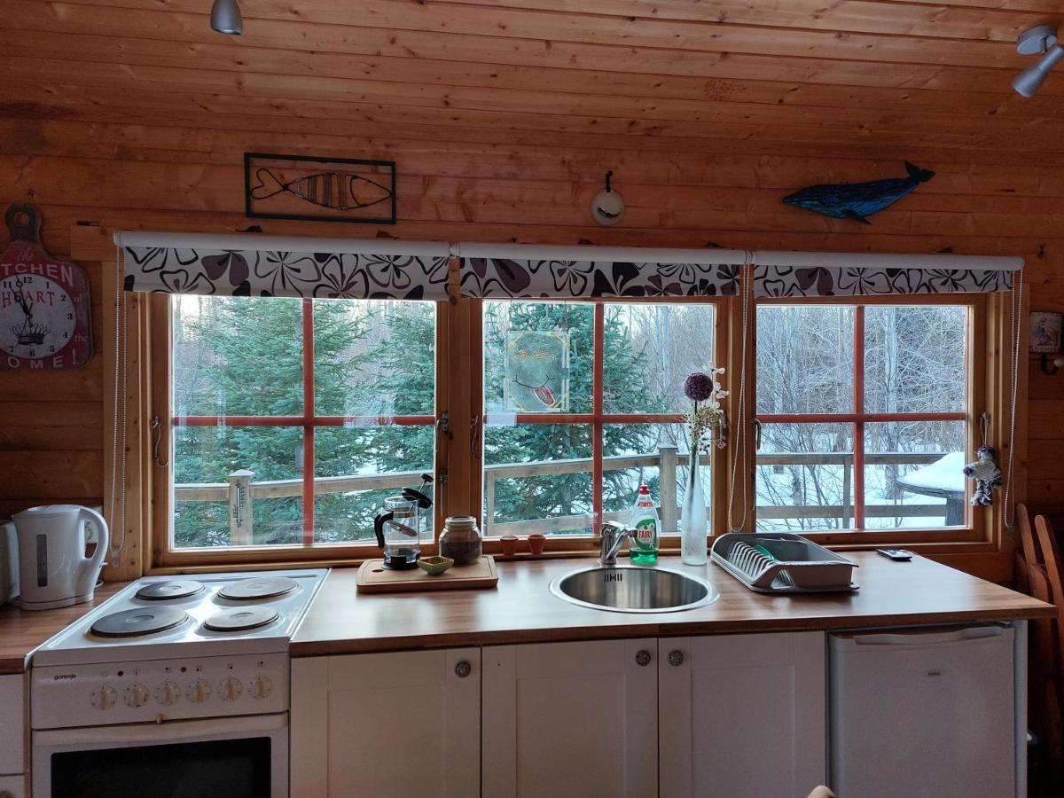 Bakkakot 1 - Cozy Cabins In The Woods 아퀴레이리 외부 사진