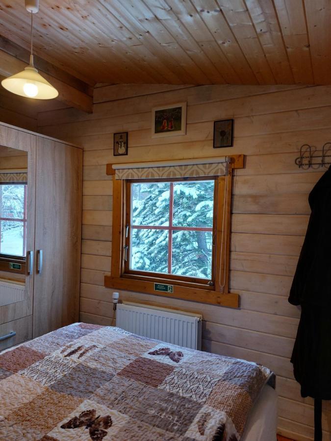 Bakkakot 1 - Cozy Cabins In The Woods 아퀴레이리 외부 사진
